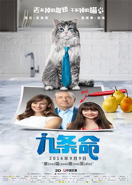 天天综合久久久网