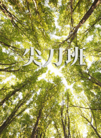 伊人久久av