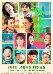 齐普策